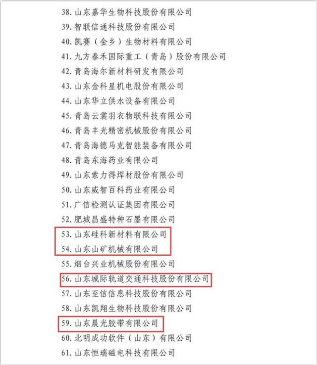 济宁多家企业入围山东民营企业行业领军10强、创新100强系列榜单-12.jpg