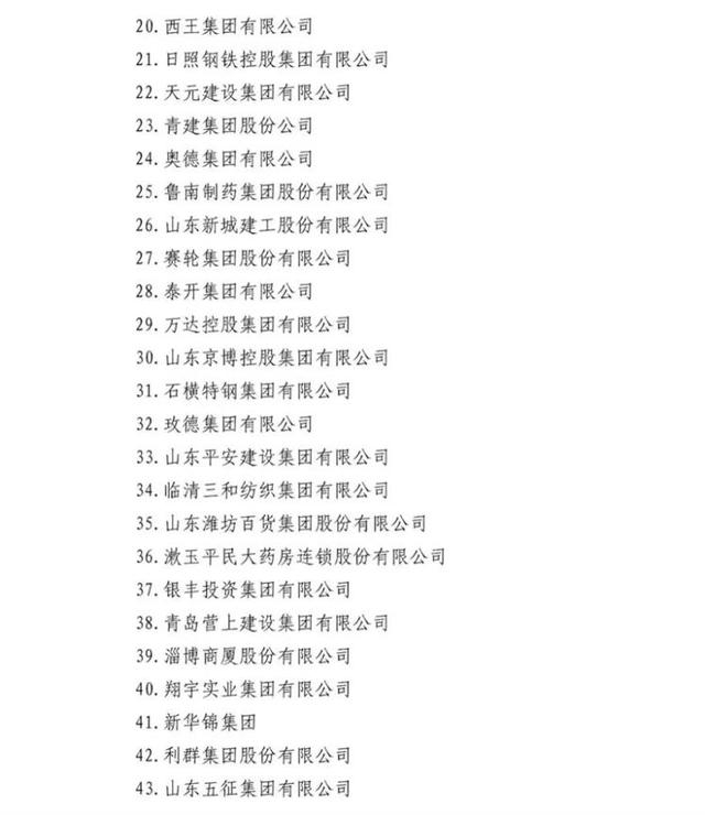 济宁多家企业入围山东民营企业行业领军10强、创新100强系列榜单-16.jpg