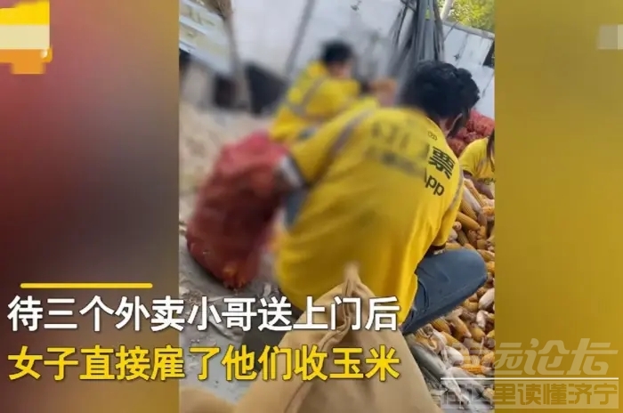 “雇了三个外卖小哥来帮我收玉米。”山东济宁，一女子收不完7亩玉米-4.jpg