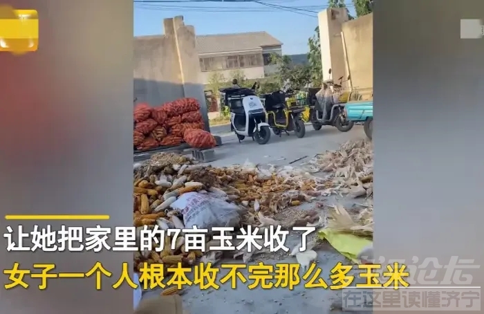 “雇了三个外卖小哥来帮我收玉米。”山东济宁，一女子收不完7亩玉米-2.jpg