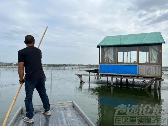 阳澄湖大闸蟹“极端高温”之后：有商家营业20天销量不如去年一天，想提价提不起来-5.jpg