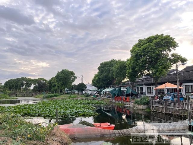 阳澄湖大闸蟹“极端高温”之后：有商家营业20天销量不如去年一天，想提价提不起来-4.jpg