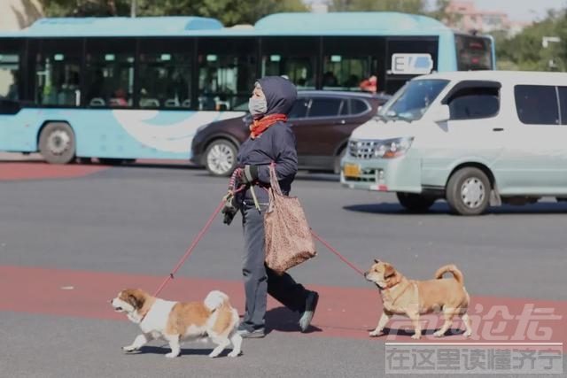 多地“断崖式”降温降雪，这个冬天会出现极端寒潮吗？-2.jpg