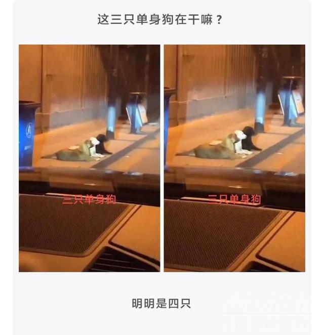 “什么工作不体面，但是工资高？”评论区扎心了！哈哈哈-23.jpg