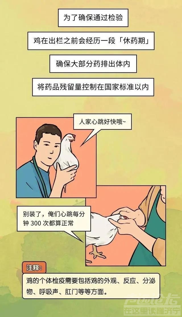 19元一只的烤鸡居然有不少的赚头？漫画揭秘：看完你就知道了-10.jpg