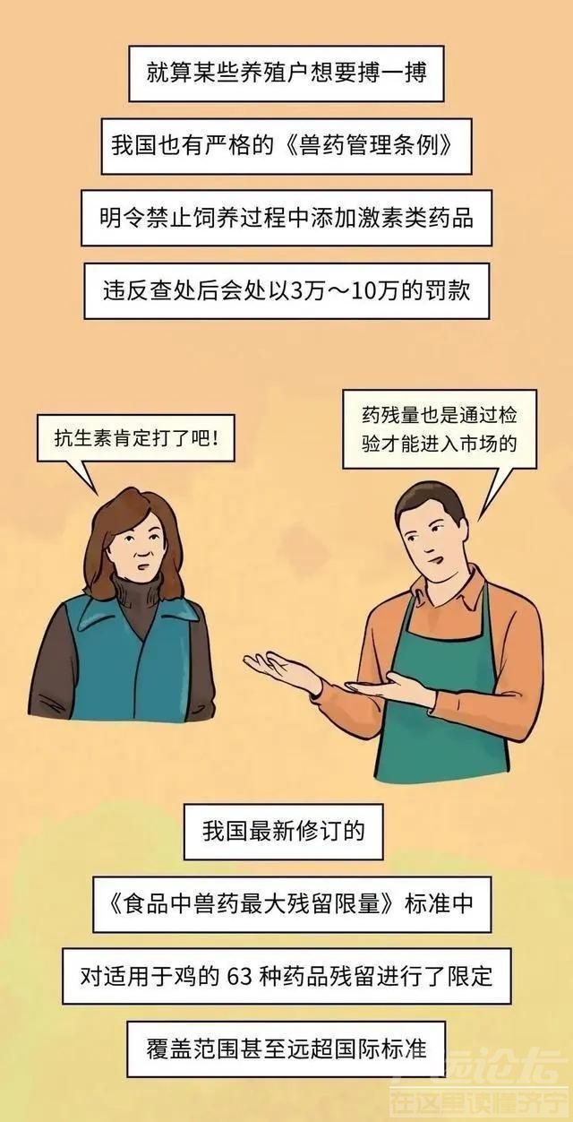 19元一只的烤鸡居然有不少的赚头？漫画揭秘：看完你就知道了-9.jpg