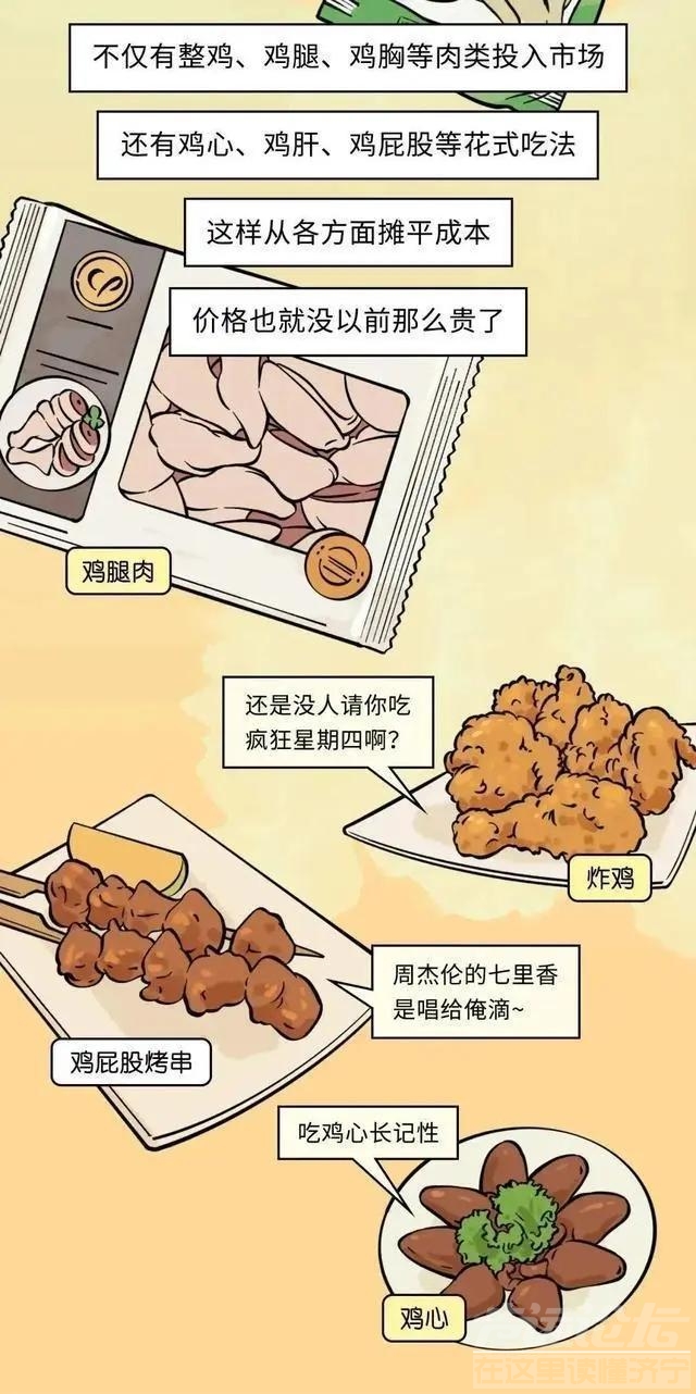 19元一只的烤鸡居然有不少的赚头？漫画揭秘：看完你就知道了-14.jpg