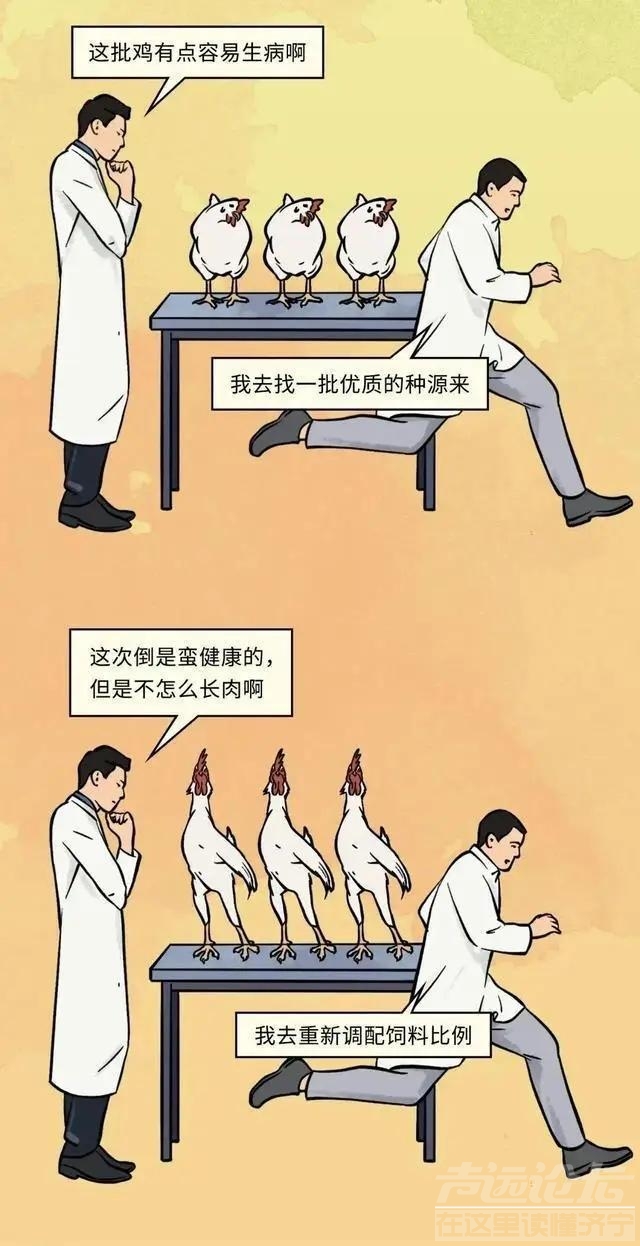 19元一只的烤鸡居然有不少的赚头？漫画揭秘：看完你就知道了-20.jpg