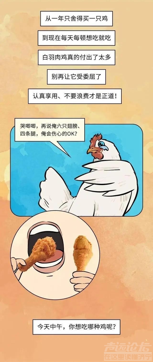 19元一只的烤鸡居然有不少的赚头？漫画揭秘：看完你就知道了-24.jpg