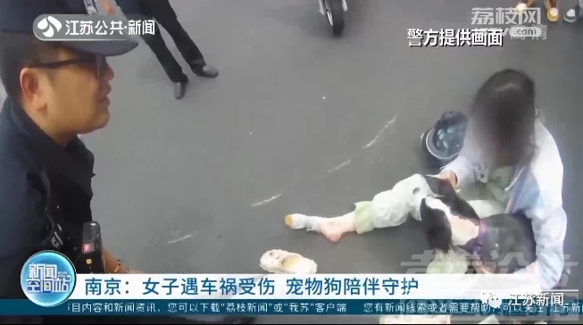 主人遇车祸情绪崩溃，狗狗跳上担架陪护安慰！-2.jpg