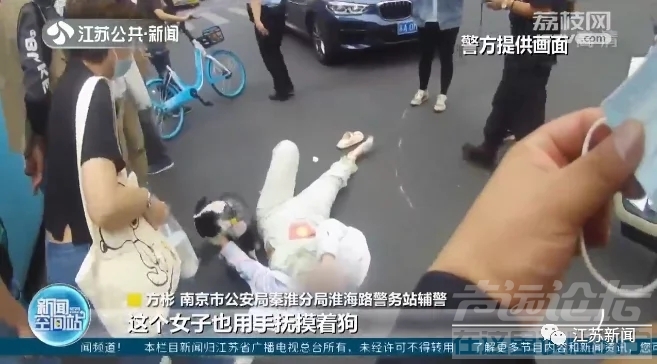 主人遇车祸情绪崩溃，狗狗跳上担架陪护安慰！-1.jpg