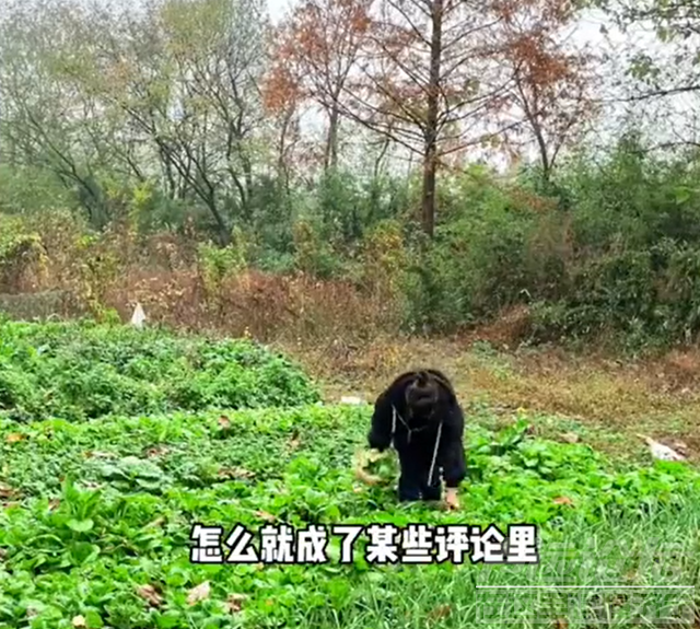 30岁女子未婚未育独居农村，月收入一千多元，当事人：喜欢待在农村，工资不算低，社交是一件很累的事-1.jpg