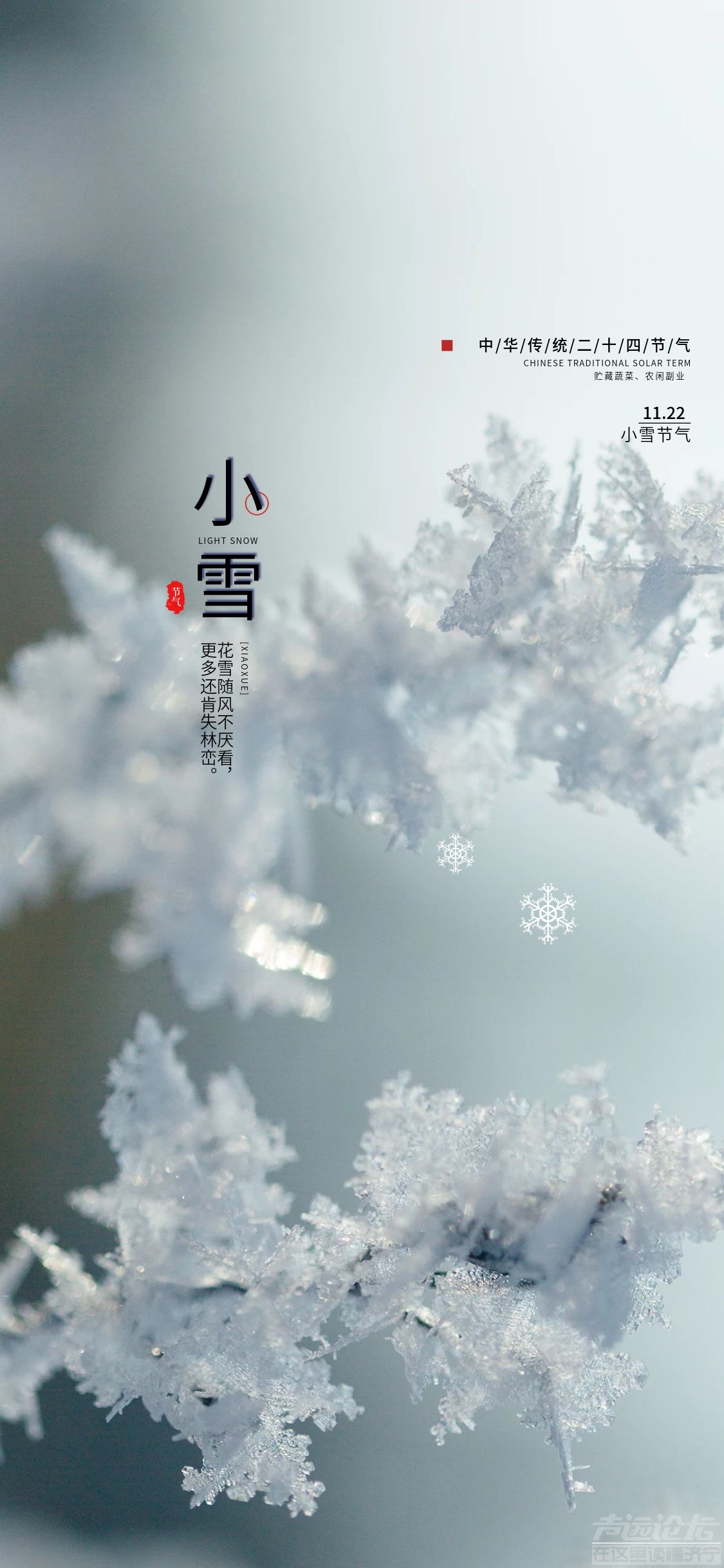 冬季6节气简约字体小雪系列海报.jpg