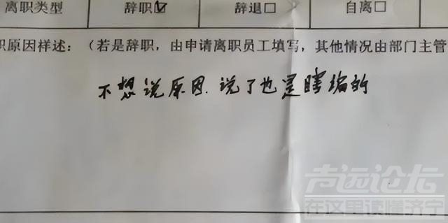 00后毕业生“低情商”辞职信走红，理由编都不编，场面话能省就省-3.jpg