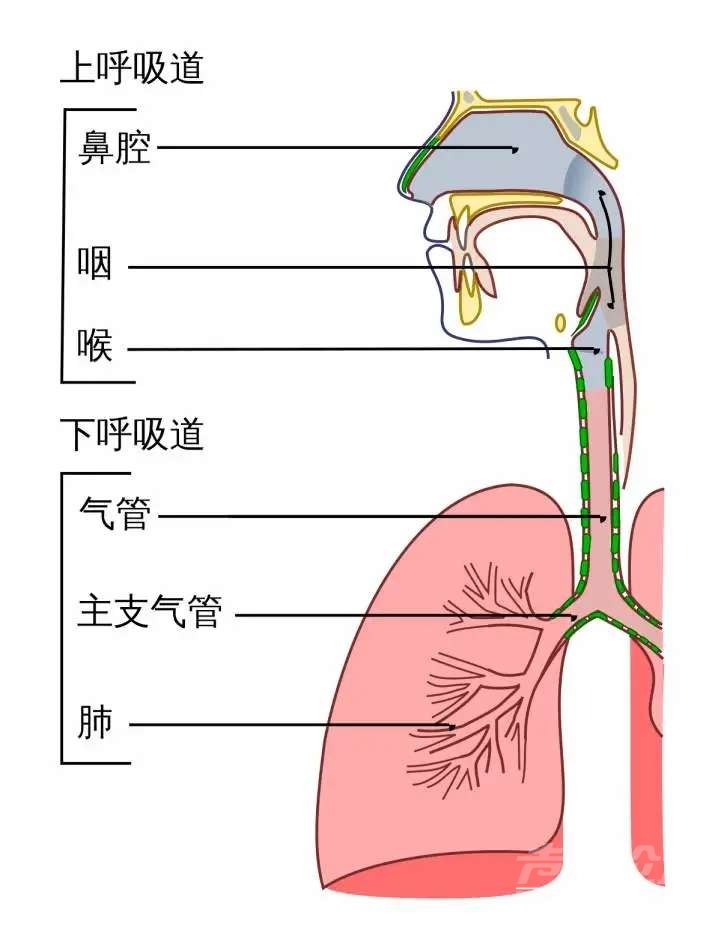 20221224105006front2_0_93467_FqwjYUQqijS3V-ufh2Q1b_RyLWA1.jpg