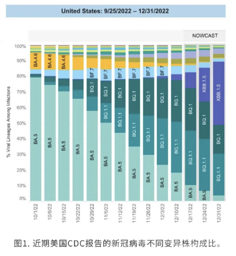 已检出199例输入XBB病例！会引发第二轮感染吗？如何应对？中疾控回应-1.jpg