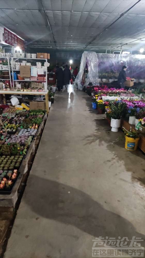 20230107175310front2_0_67_FhSu9rMf5I7QFwVXJLRcukmgXljj.jpg