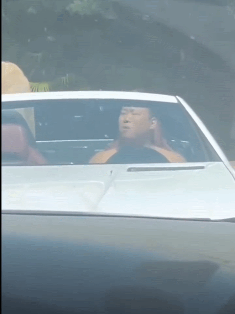 游客三亚按喇叭被黑社会恐吓，吓得举手道歉，第二个龙哥？-8.jpg