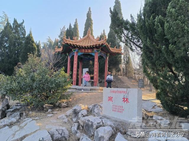 古老泗河的发源地，泗水泉林泉群景区，3月底之前免费，无需购票-3.jpg