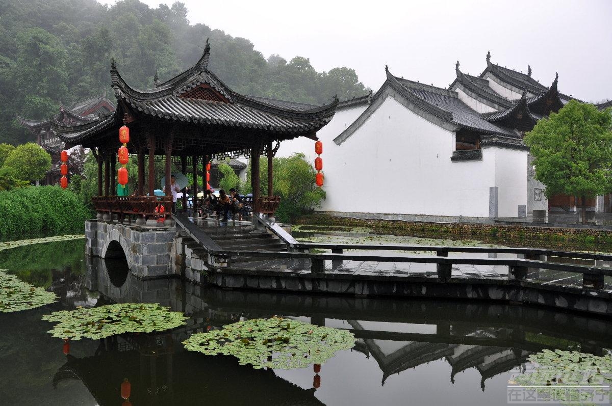 婺源赏花四点联票+船游千岛湖源头+月亮湾+婺源上坦村四日 开往婺源花海的专列-5.jpg