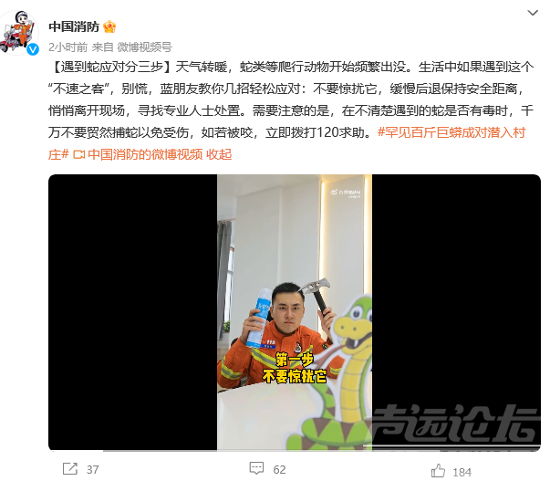 罕见！两条百斤巨蟒潜入村庄疯狂捕食家禽，有村民家40只鸡被吃剩3只：目测有成人腰粗，长5米-6.jpg