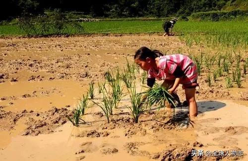 河南两女子幼时均惨遭抛弃，因神似做闺蜜34年，最后发现是亲姐妹-8.jpg