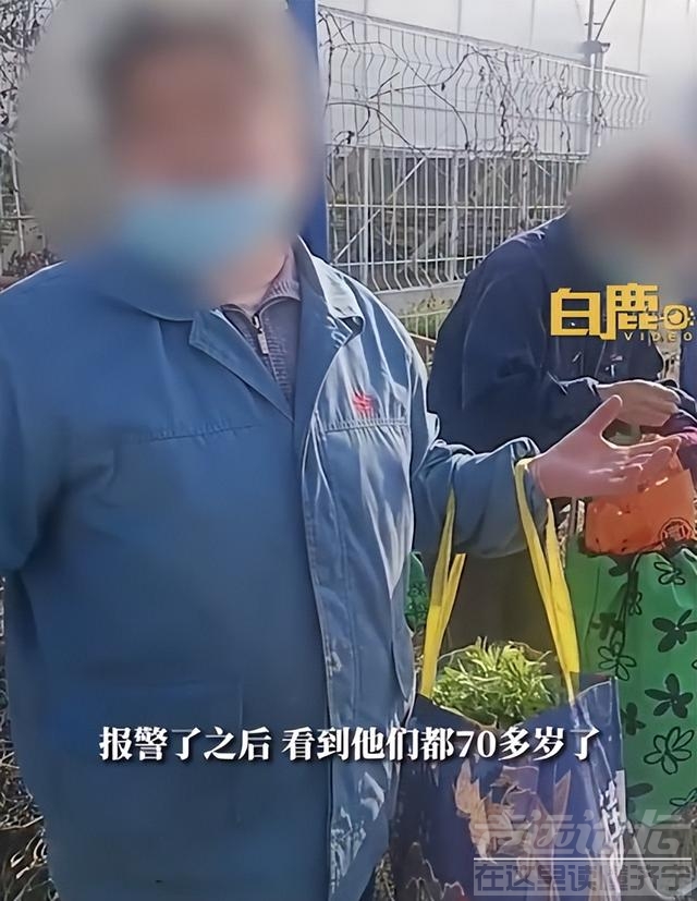 老人以挖野菜名义组团去农场偷菜，农场主人：不止一次了，报警后看她们都70多岁，心软放走了-3.jpg