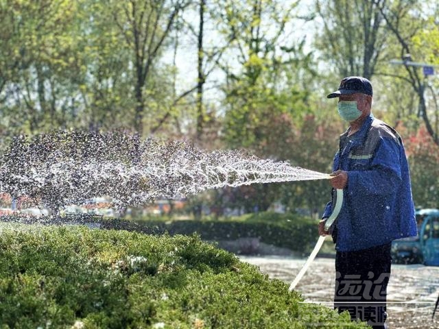 未雨绸缪、多管齐下，济宁打响“杨柳絮治理战”-2.jpg