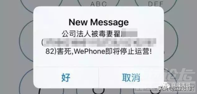 还想洗白呢，做梦吧！-87.jpg