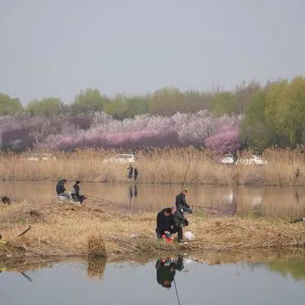 接待游客近20万人！太白湖新区“五一”假期文旅市场消费火爆-10.jpeg