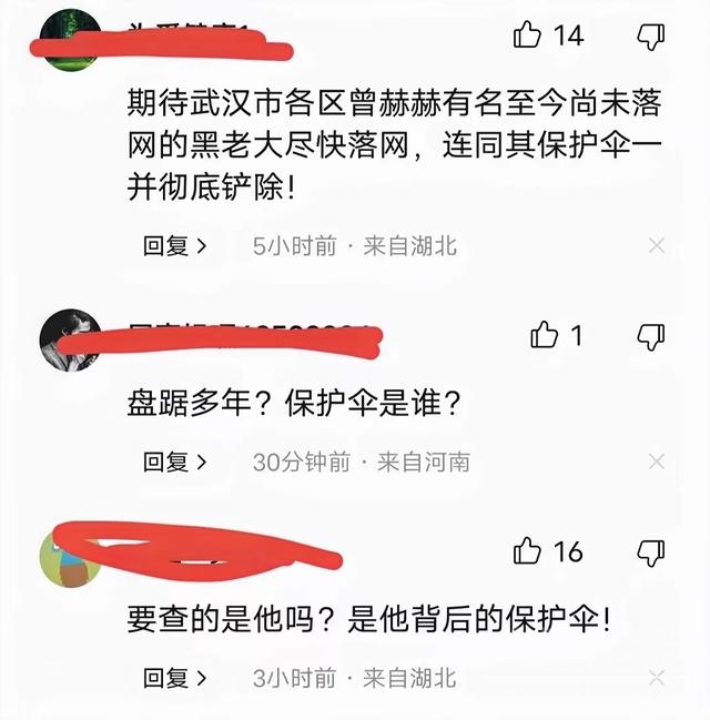 武汉最大黑社会头目落网，他一名马仔身份不简单，一把捞了6.9亿-7.jpg