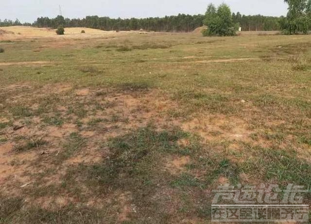 农村田地空置现象严重，越来越多农民不种地！需严厉打击土地浪费-1.jpg