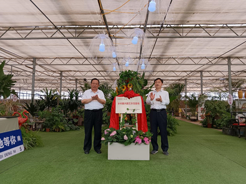 民建济宁市委首个“乡村振兴园艺示范基地”在济宁锦润达景观工程股份有限公司揭牌。-2.jpg