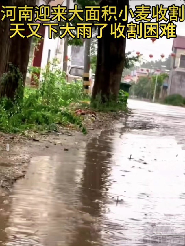 河南降雨在路上，收割机因为没证还在高速上，农民心急到嗓子眼上-12.jpg