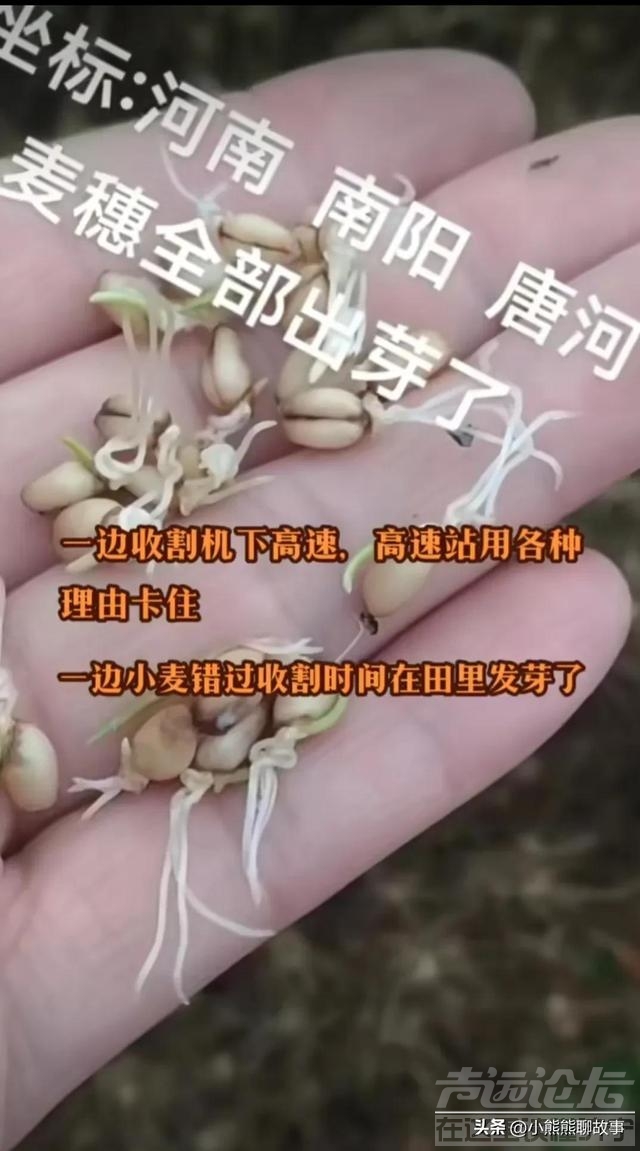 收割机事件河南和安徽对比格局立马明了-1.jpg
