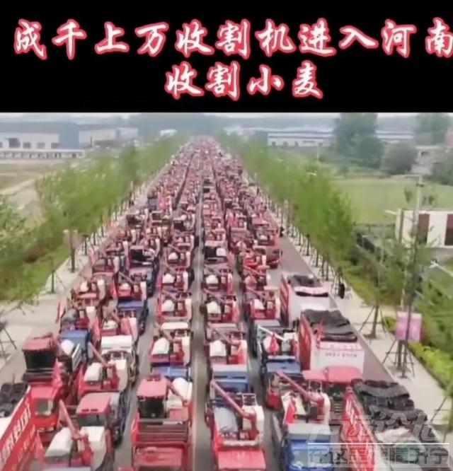 数千辆收割机困高速5天，导致麦农损失惨重？高速官方通报：不实-1.jpg