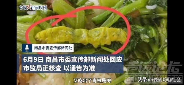 江西领导震怒，严令彻查是鼠还是鸭！网友：3个突破口能找到真相-6.jpg