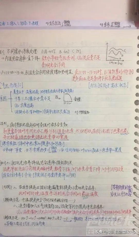 725高分学霸字迹惊艳，146分语文卷面曝光，卷面分千万不能丢！-5.jpg