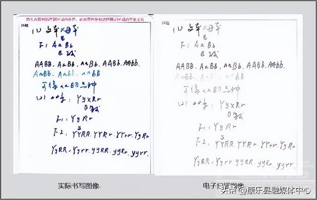 725高分学霸字迹惊艳，146分语文卷面曝光，卷面分千万不能丢！-32.jpg