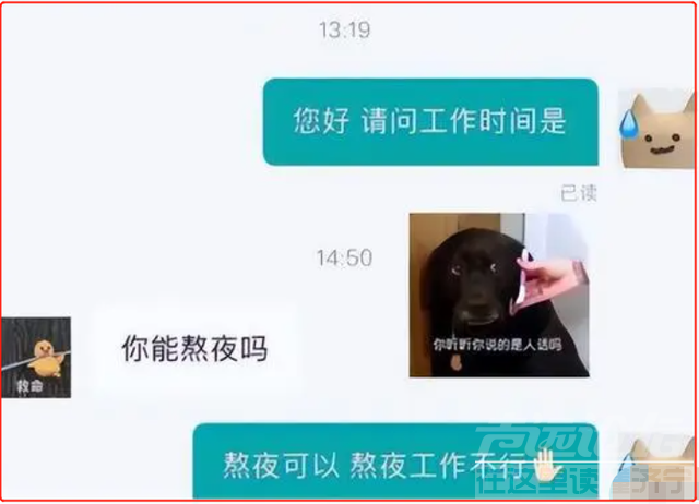 00后“低情商”辞职信走红，老板看后只能默默签字：真的惹不起-5.jpg