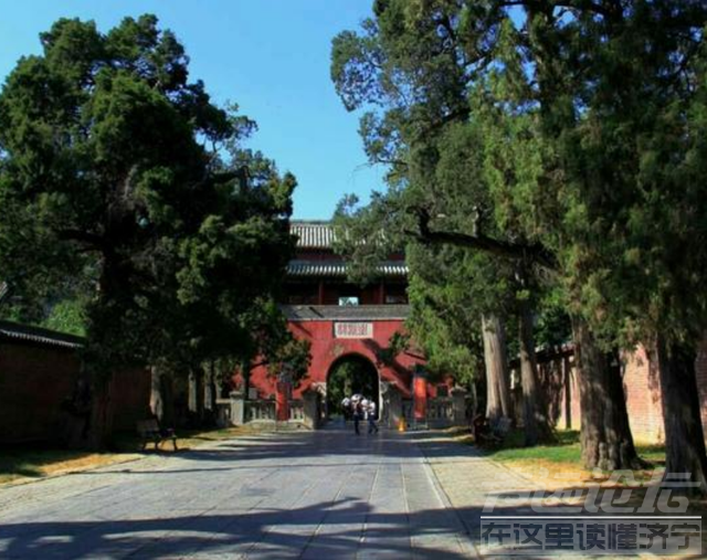 2400年的孔子墓地，为何“乌鸦不栖，蛇鼠不侵”？老祖宗的智慧-6.jpg