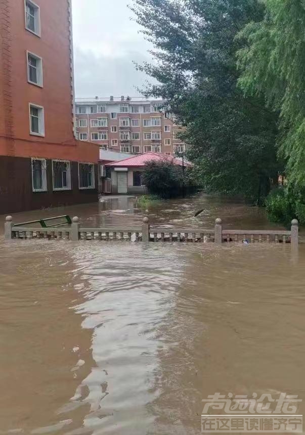 哈尔滨遭遇强降雨，当地人称超市被抢购一空！积水没过大腿-2.jpg