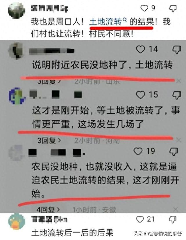 大反转！河南抢玉米事件后续：真实原因曝光，土地流转 农民没地-6.jpg