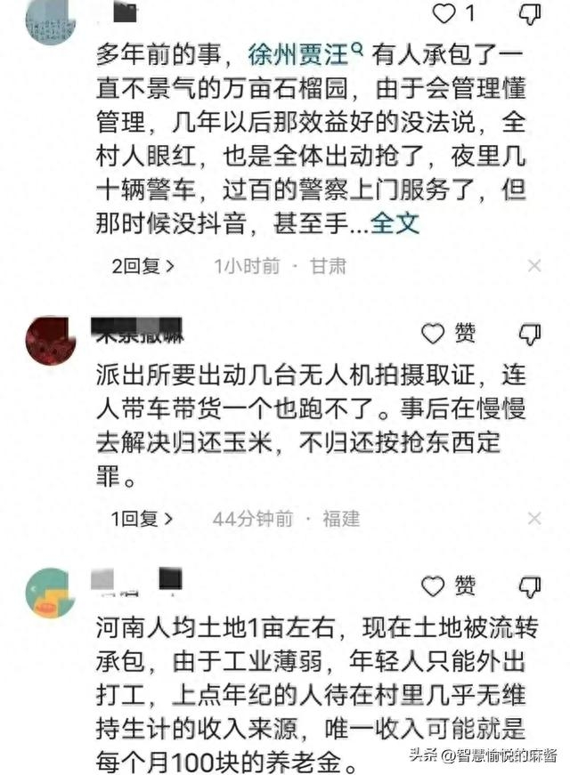 大反转！河南抢玉米事件后续：真实原因曝光，土地流转 农民没地-7.jpg