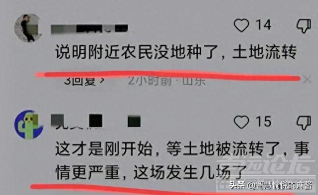 大反转！河南抢玉米事件后续：真实原因曝光，土地流转 农民没地-8.jpg