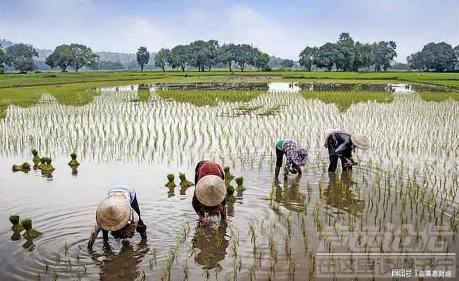 居民医保一年减少2500万人，不断涨价的保费成为主要原因-4.jpg