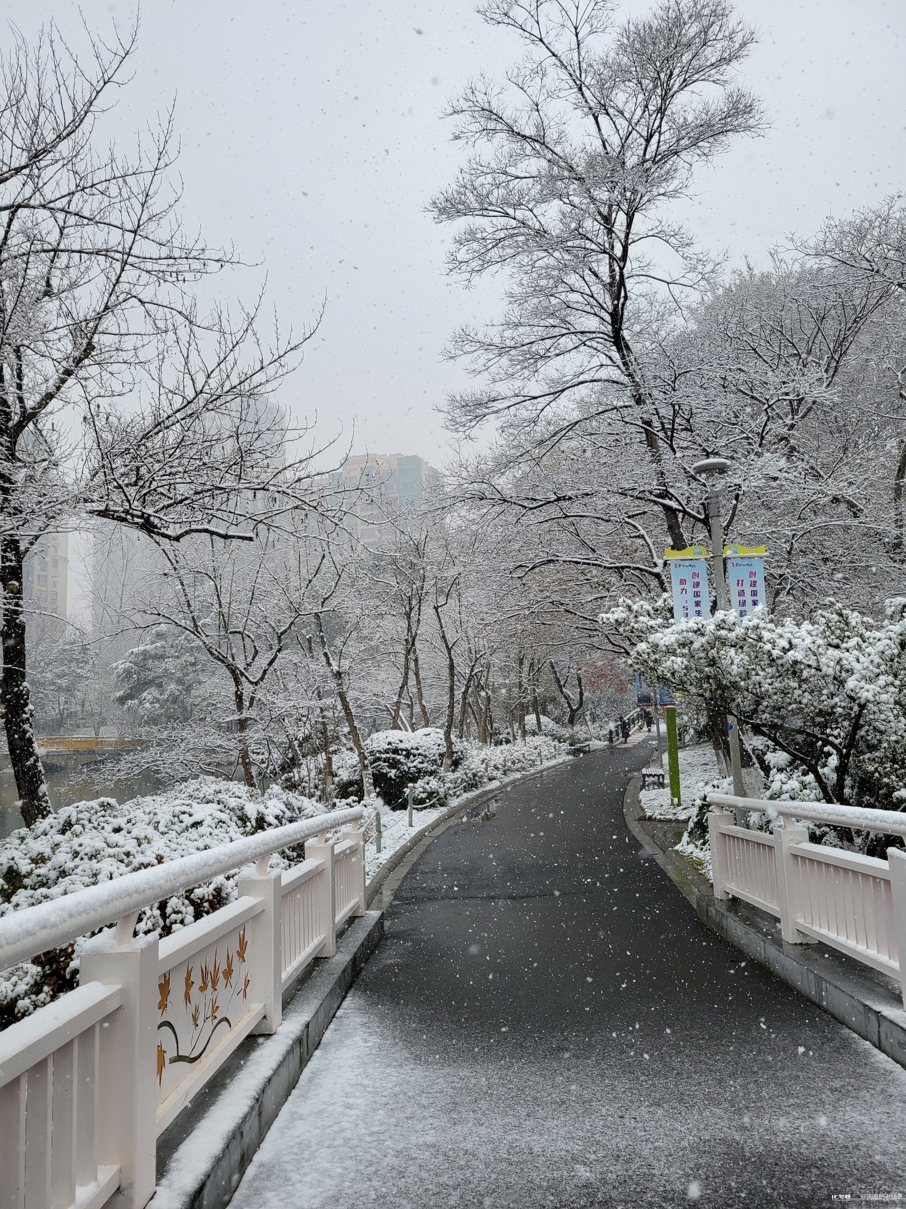 常州的雪比济宁的雪下的都大，你看这下的，这感觉是不是很爽？-3.jpg