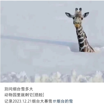 微信截图_20231223094425.png