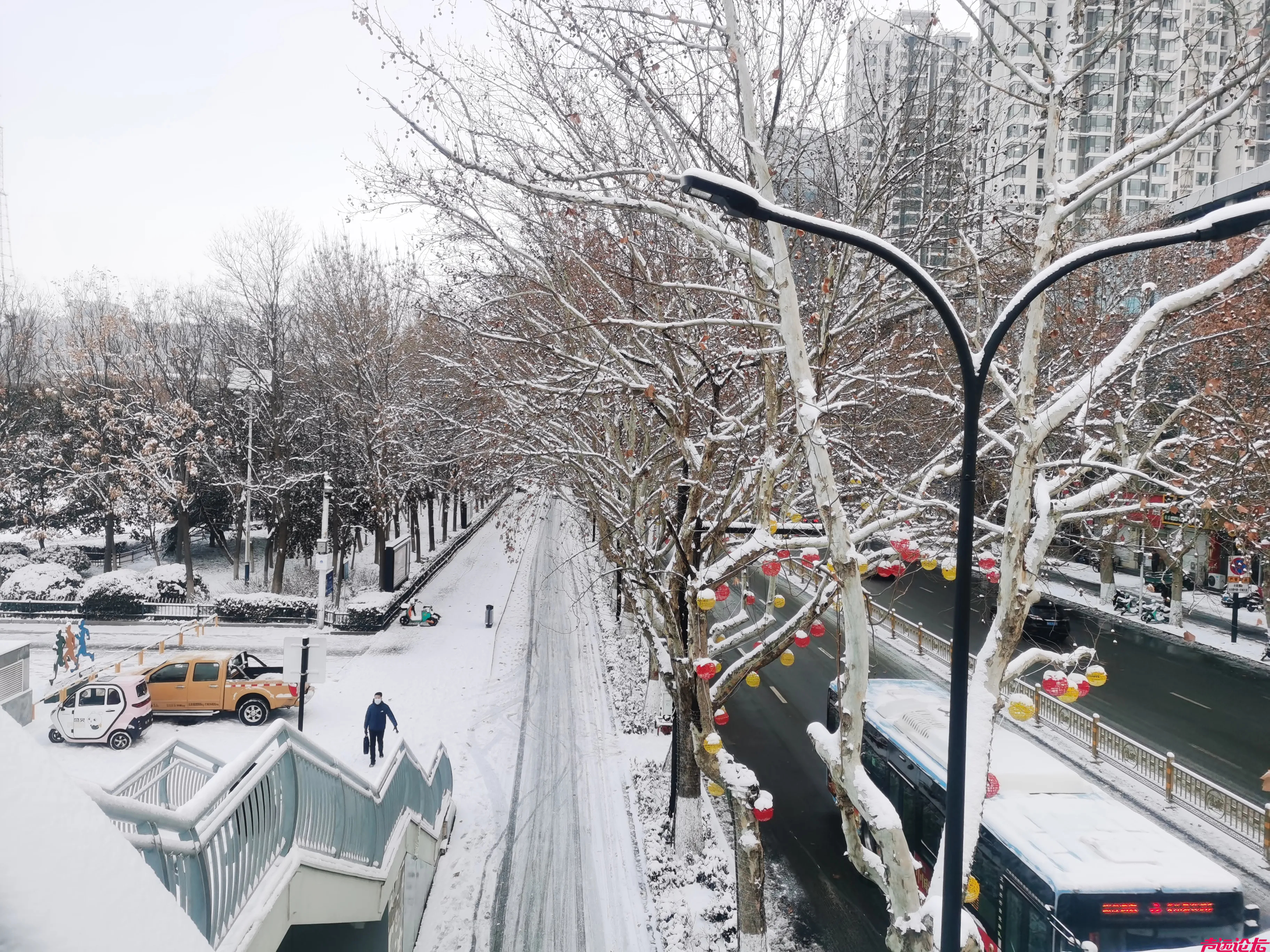 今天早上不错，你看这雪下的，不错哈，比今天的股票看着爽，是不是？这就2650了！-1.jpg