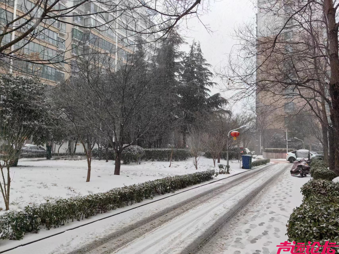 临时关闭！暂缓发车！闭园！接下来济宁局部大到暴雪！-1.jpg